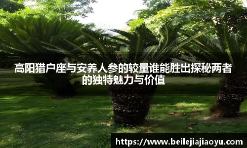 高阳猎户座与安养人参的较量谁能胜出探秘两者的独特魅力与价值